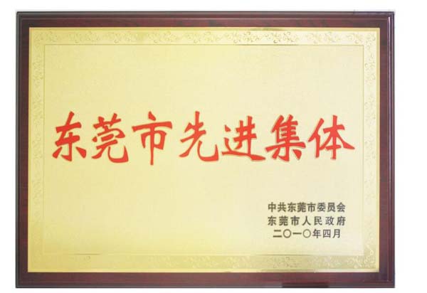 東莞市先進集體